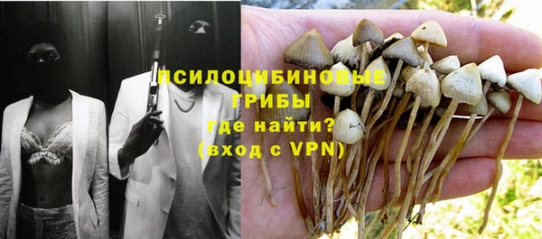 круглые Кирсанов
